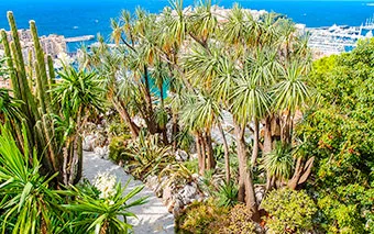Giardino Esotico di Monaco